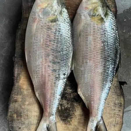 ২ পিস (৫ কেজি)